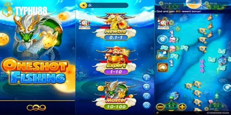 Tips săn cá trực tuyến hay nhất cho thành viên mới 2025